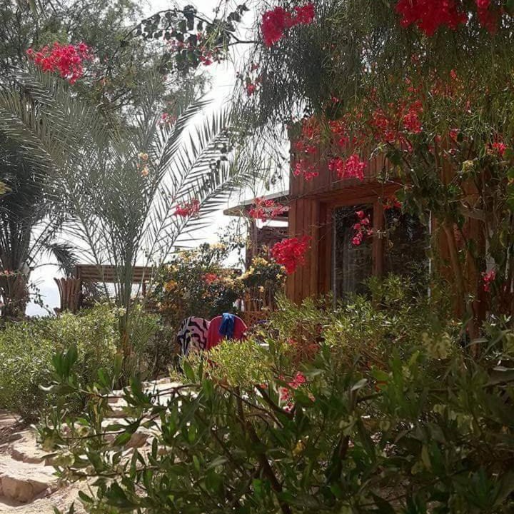 Photo of Others in Nuweiba