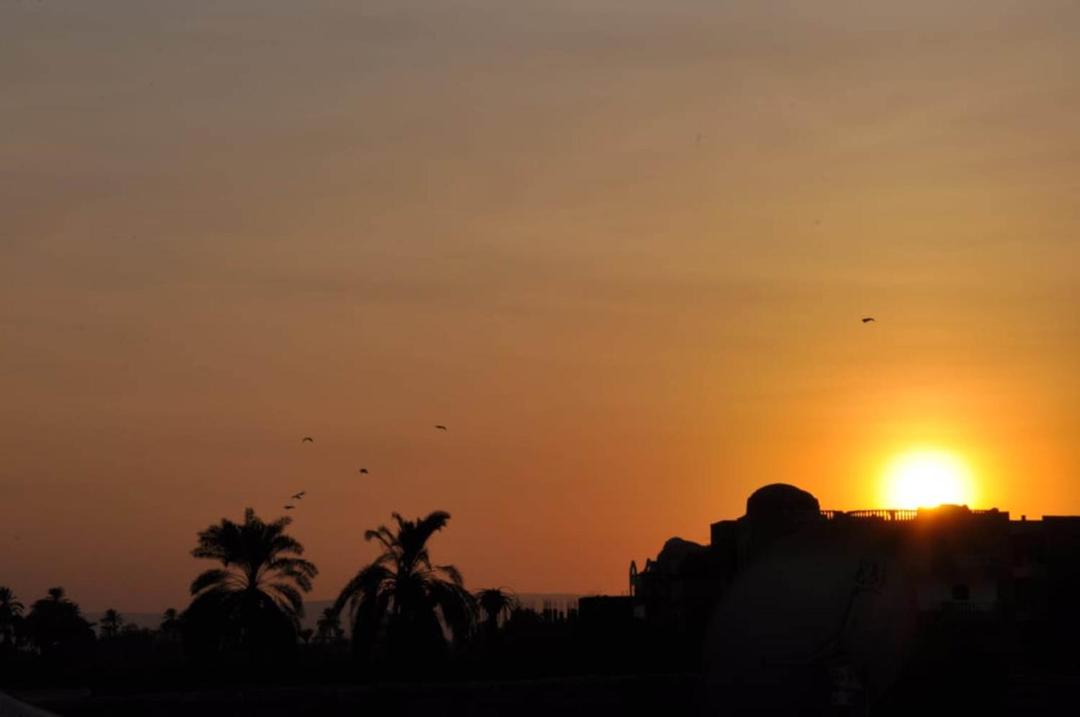 Photo of Others in Luxor