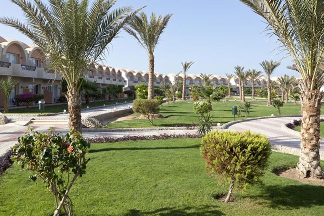 Photo of Others in Port Ghalib