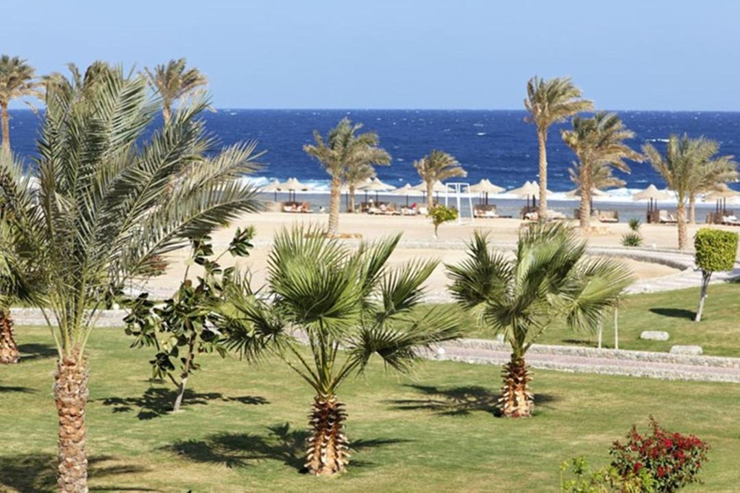 Photo of Others in Port Ghalib