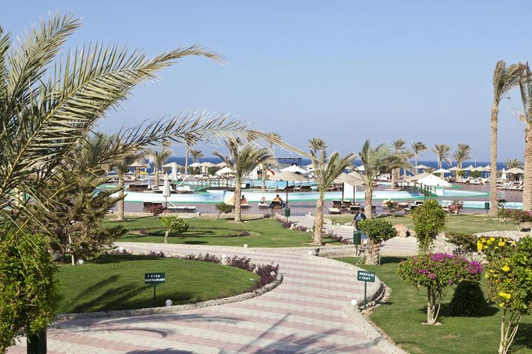 Photo of Others in Port Ghalib