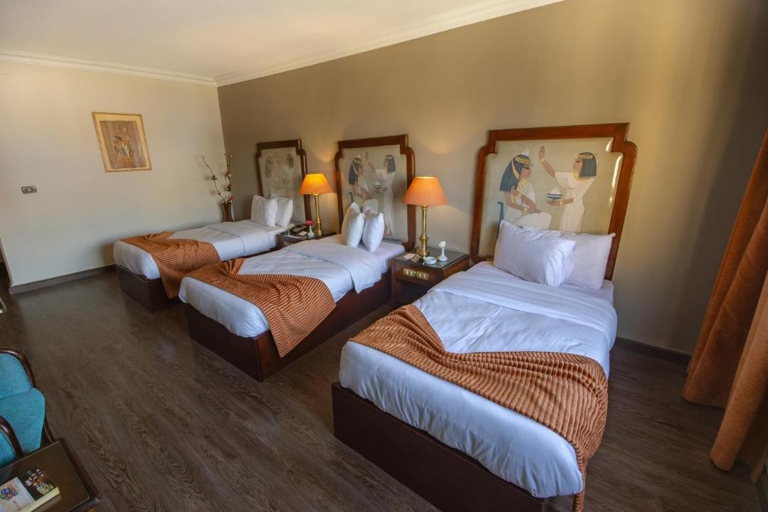 Photo of Bedroom in Agouza