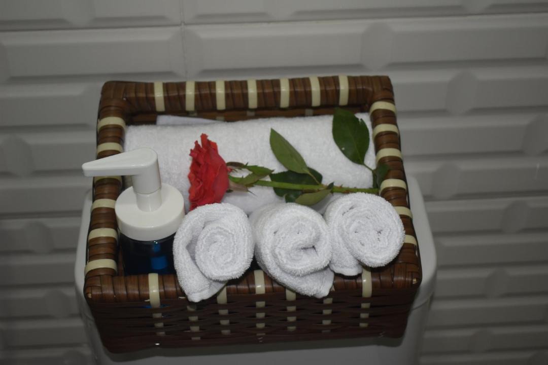 Photo of Bathroom in Downtown Cairo