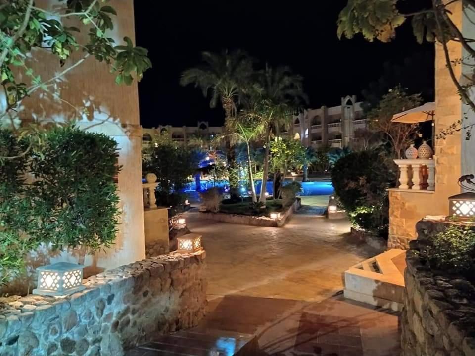 Photo of Others in Sharm El Sheikh
