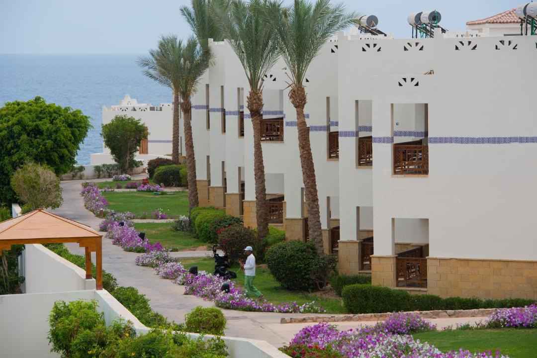 Photo of Others in El Hadaba