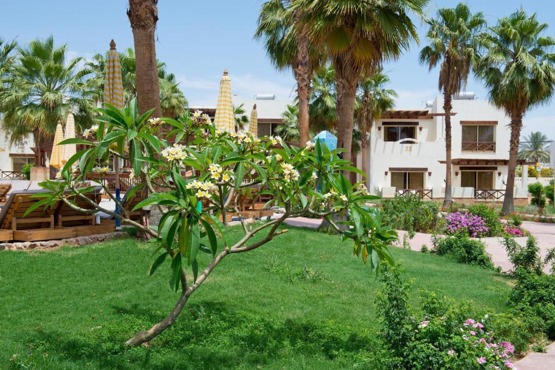 Photo of Others in El Hadaba