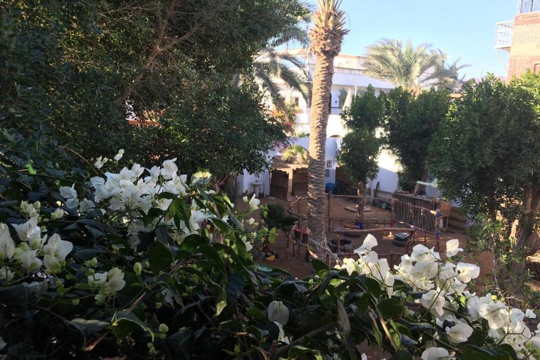 Photo of Others in Dahab