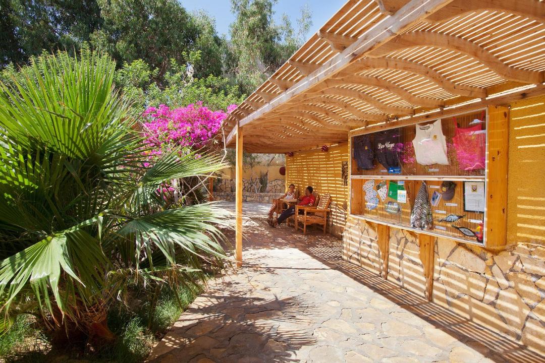 Photo of Others in Dahab