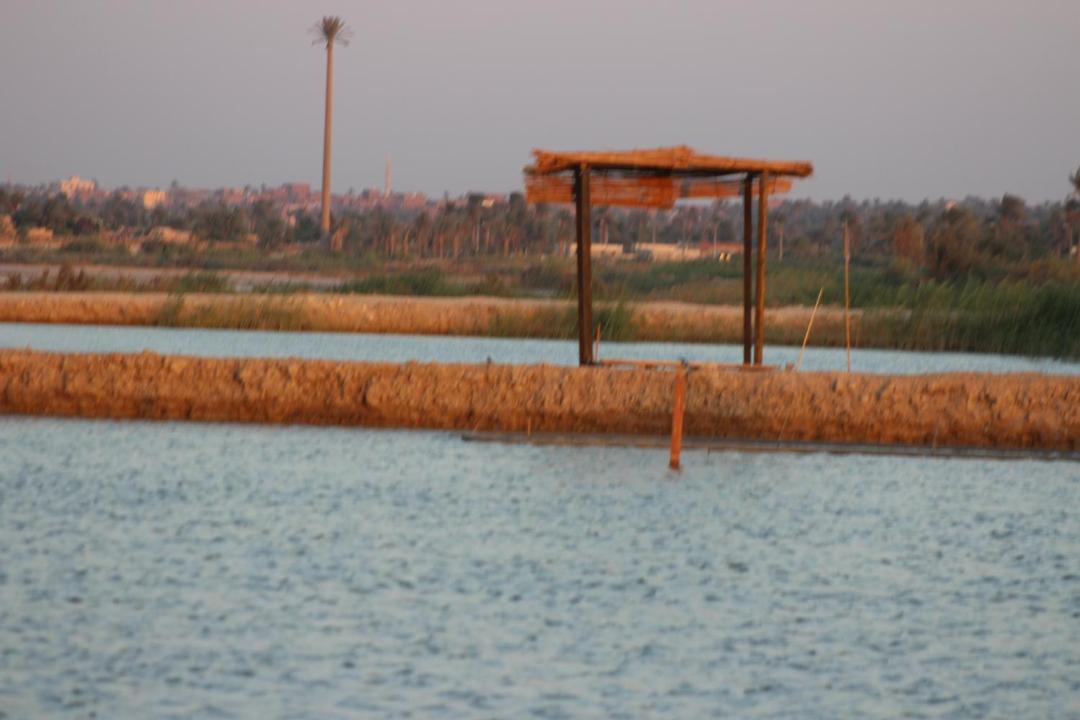 Photo of Others in Tunis Village