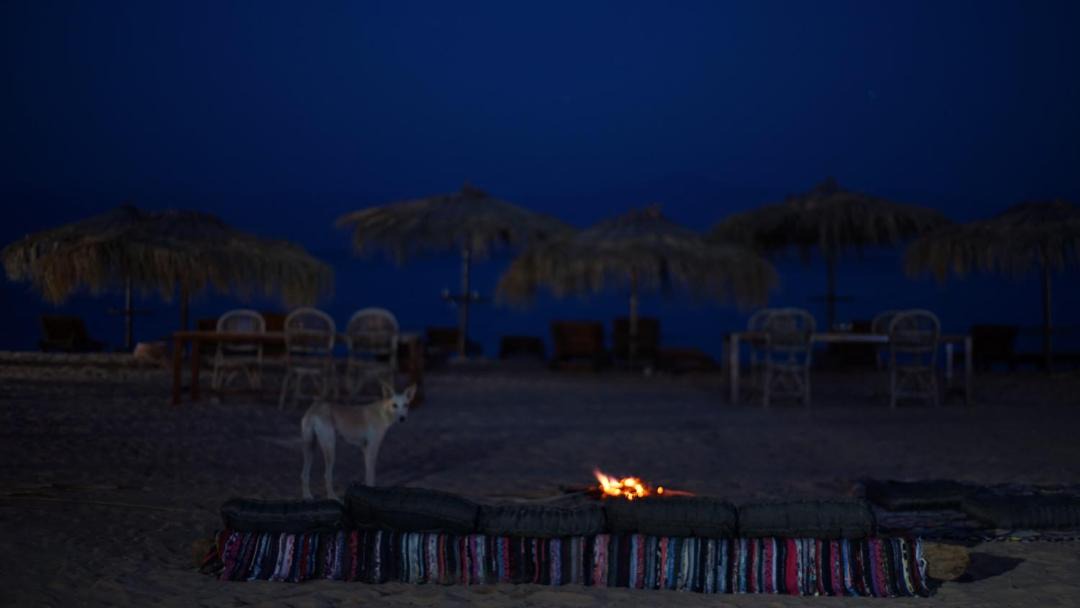 Photo of Others in Nuweiba