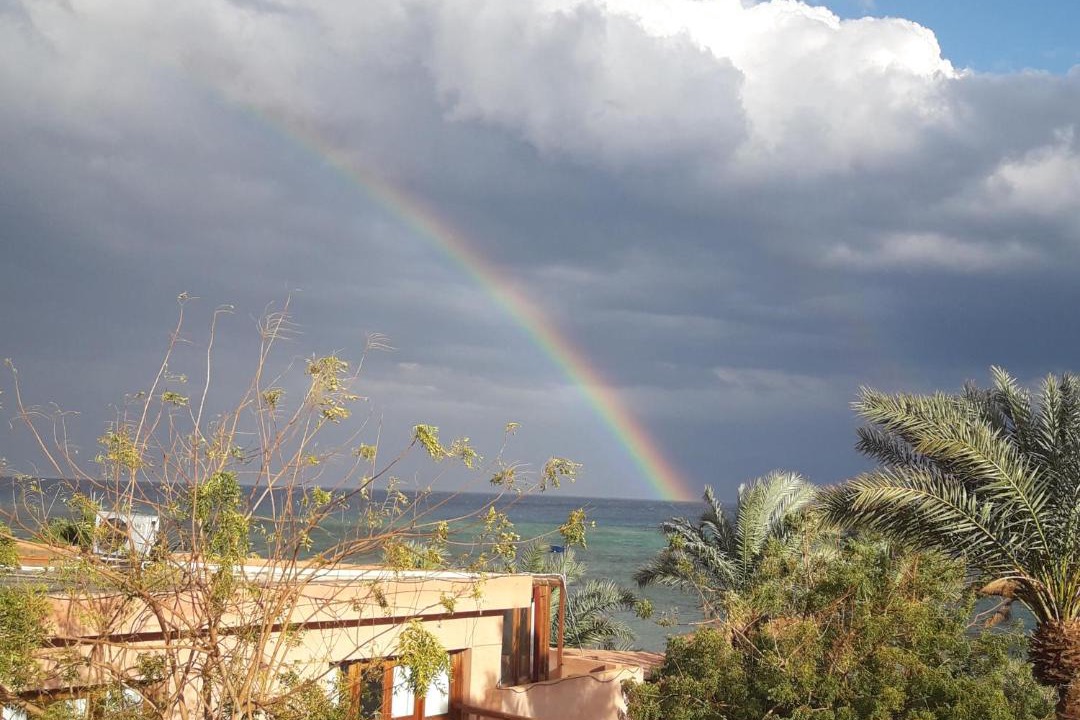 Photo of Others in Nuweiba