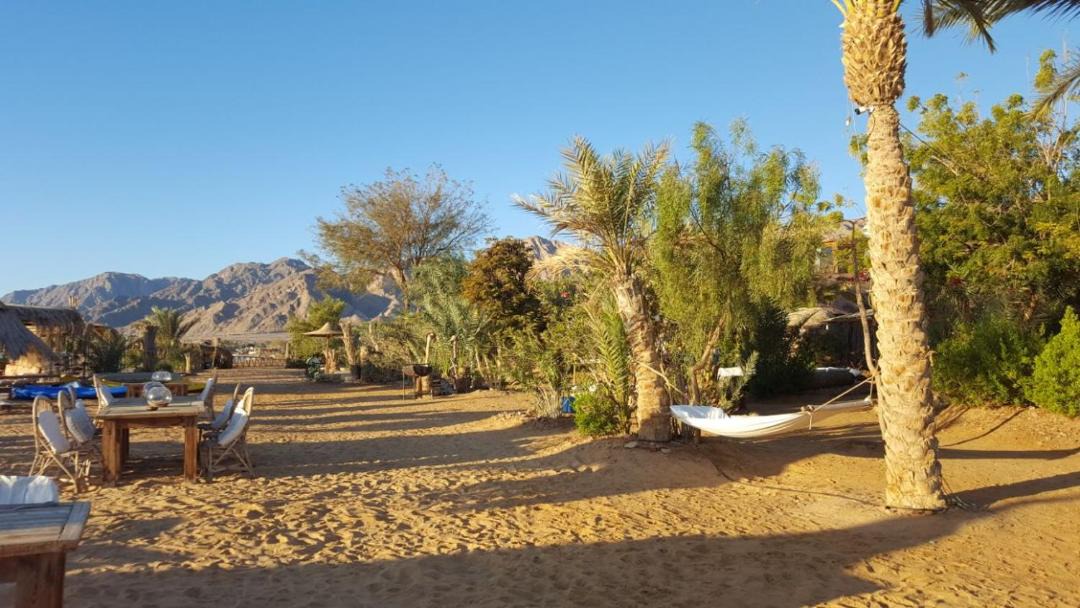 Photo of Others in Nuweiba