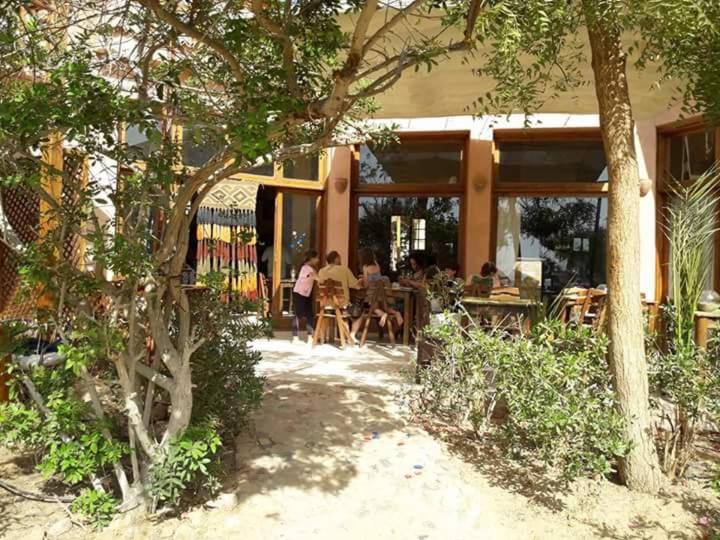 Photo of Others in Nuweiba