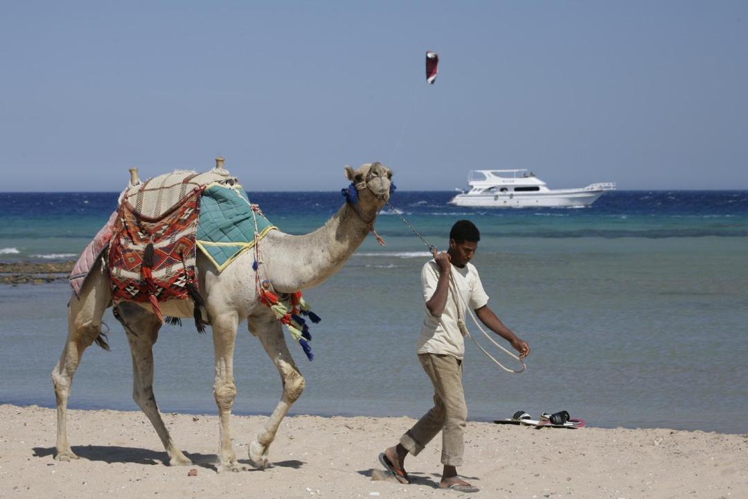 Photo of Others in Safaga