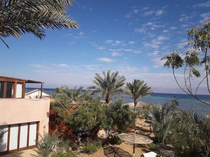 Photo of Others in Nuweiba