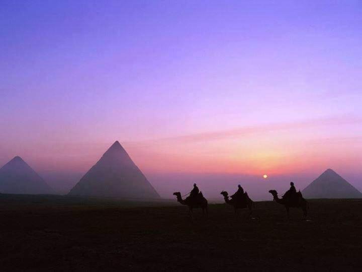 Photo of Outdoor in Pyramids Gardens