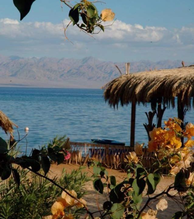 Photo of Others in Nuweiba