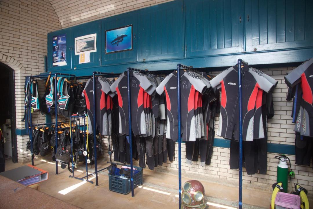 Photo of Others in Dahab