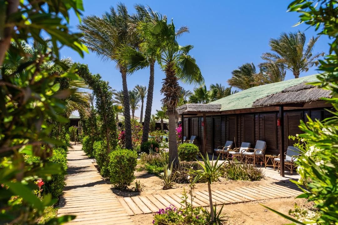 Photo of Others in Marsa Alam