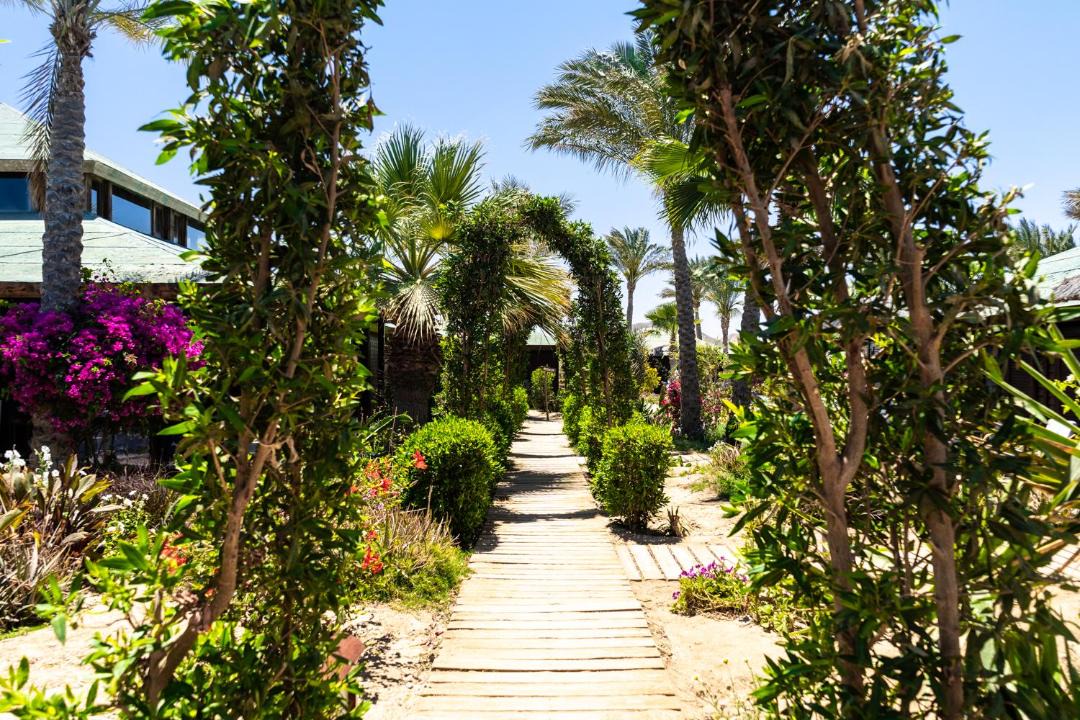 Photo of Others in Marsa Alam