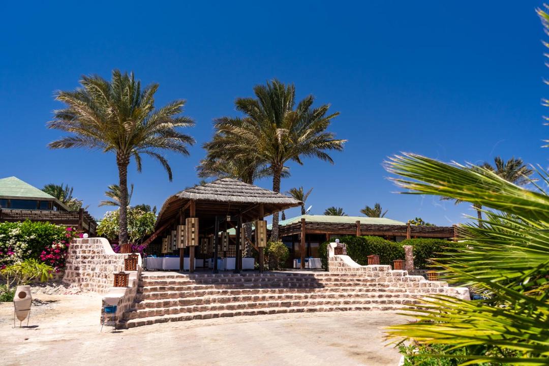 Photo of Others in Marsa Alam