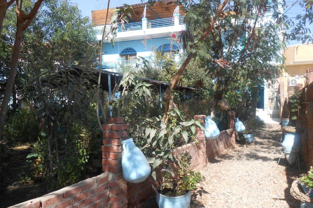 Photo of Others in Aswan