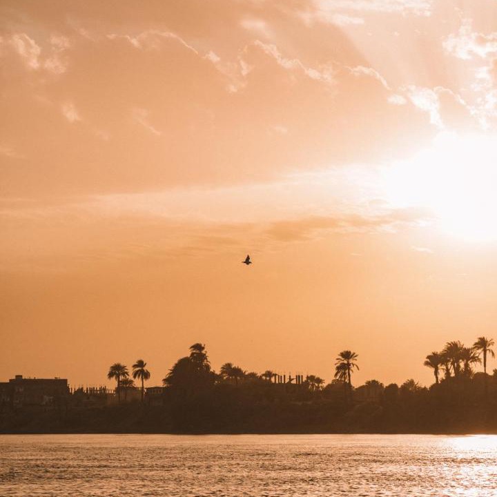Photo of Others in Nile River Luxor