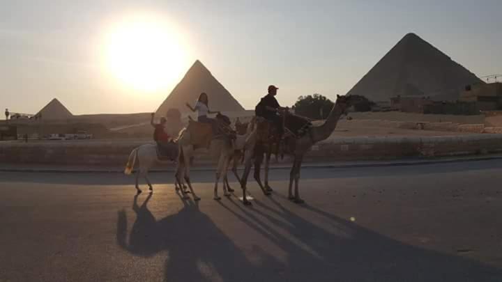 Photo of Others in Pyramids Gardens