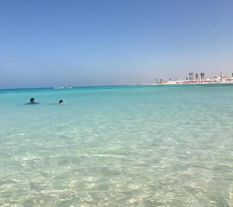 Photo of Others in El Alamein