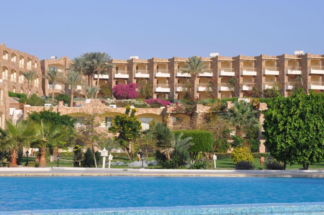 Photo of Others in Marsa Alam