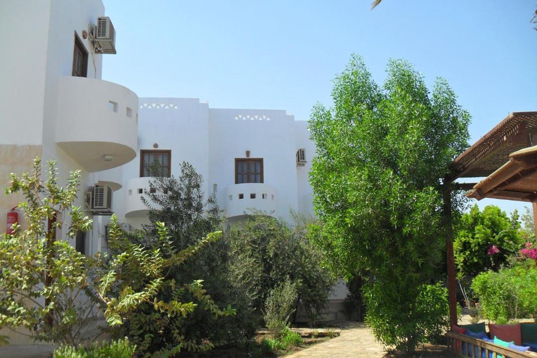 Photo of Others in Dahab