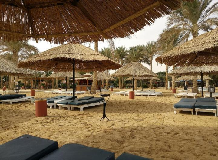 Photo of Others in Ain Sokhna