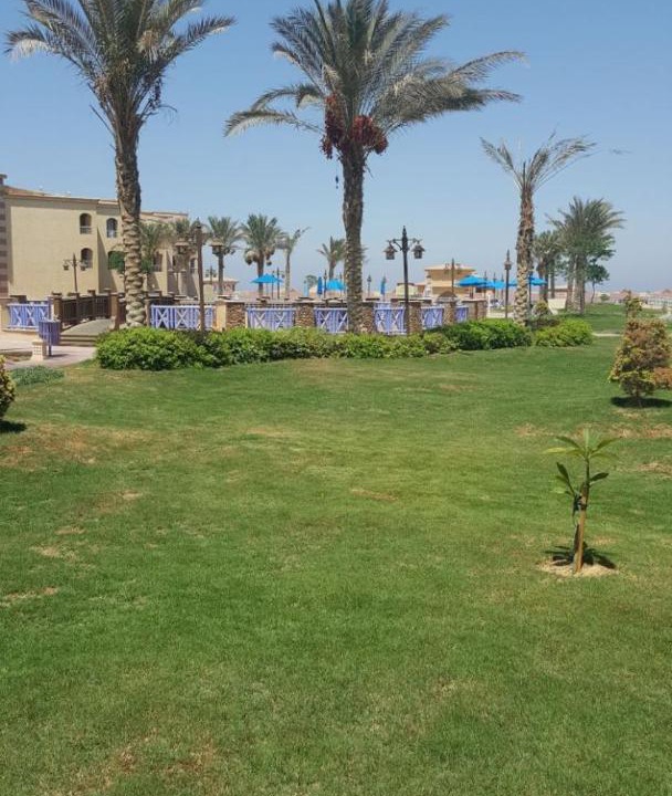 Photo of Others in Zafarana
