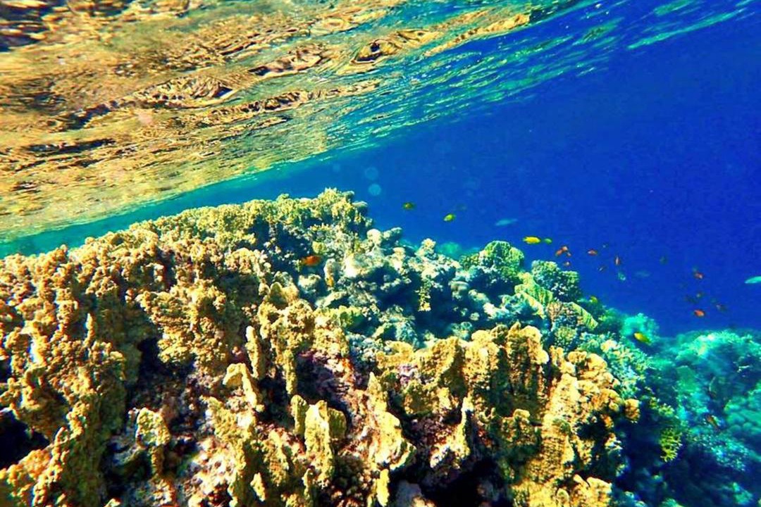 Photo of Others in Soma Bay