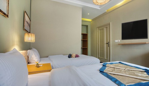 Deluxe Double or Twin Room, Balcony