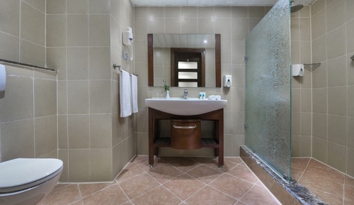 Honeymoon Suite, 1 King Bed, Desert View