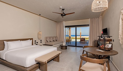 Swim-up Junior Suite Garden