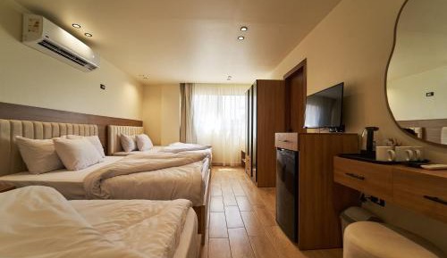 Triple Room with Mountain View