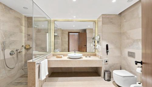 Deluxe Double or Twin Room with Pool Access