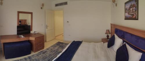 Deluxe One-Bedroom Apartment