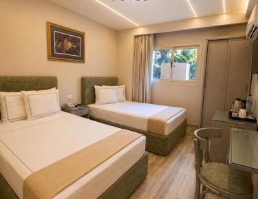 Deluxe Double or Twin Room with City View