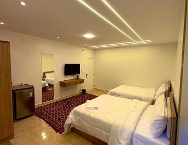 Deluxe Double or Twin Room with City View