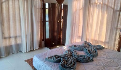 Deluxe Double or Twin Room with River View