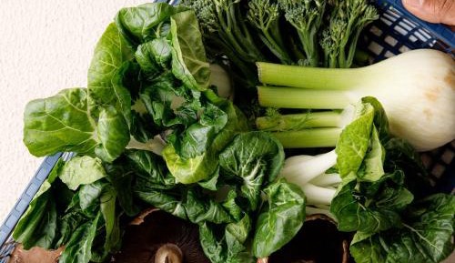 Holistic Detox Program