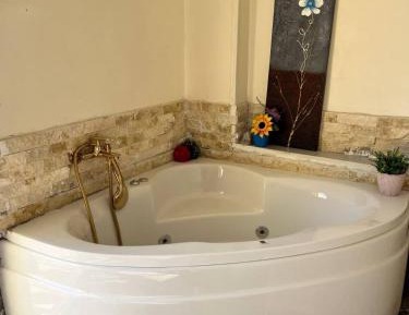 Double or Twin Room with Spa Access