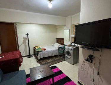 Studio with Sofa Bed