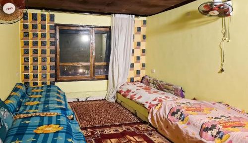 Single Bed in Mixed Dormitory Room