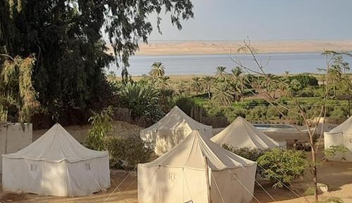 Tent