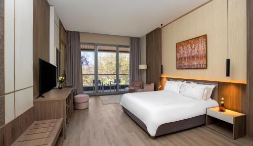 Deluxe Room Park View (Nariman)