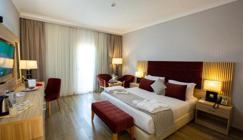 Premium Room with Pool View